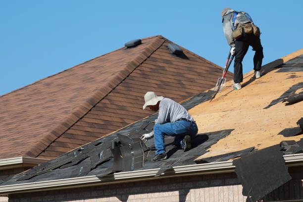 Best Gutter Installation and Repair  in Apollo, PA